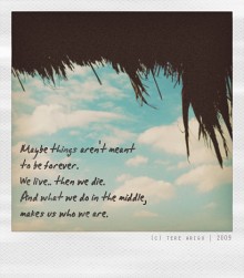 Maybe things aren't meant to be forever.jpg